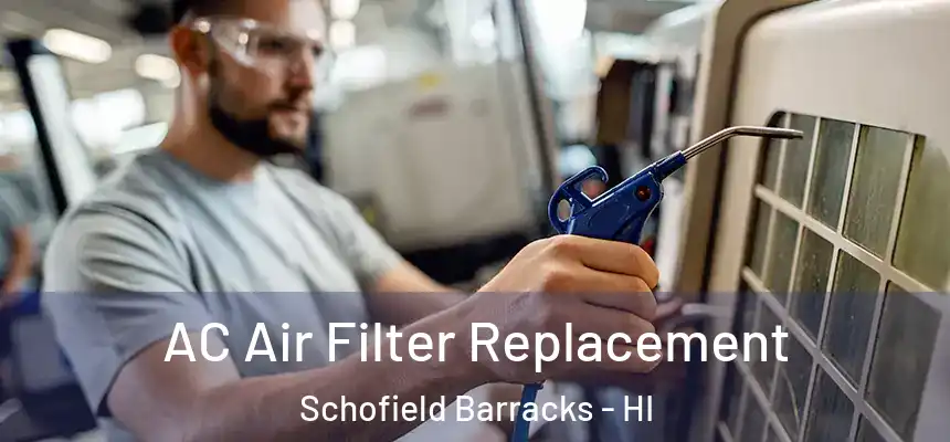  AC Air Filter Replacement Schofield Barracks - HI