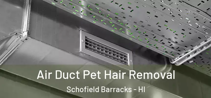 Air Duct Pet Hair Removal Schofield Barracks - HI