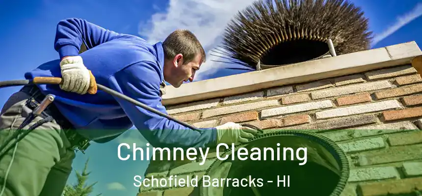  Chimney Cleaning Schofield Barracks - HI