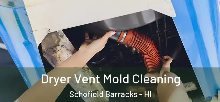 Dryer Vent Mold Cleaning Schofield Barracks - HI