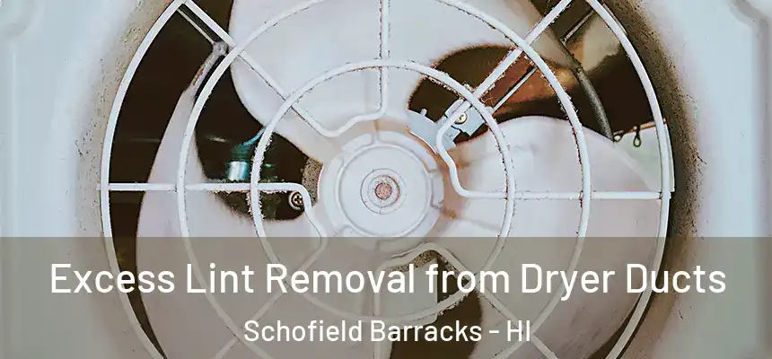 Excess Lint Removal from Dryer Ducts Schofield Barracks - HI