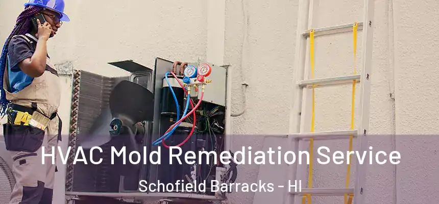 HVAC Mold Remediation Service Schofield Barracks - HI