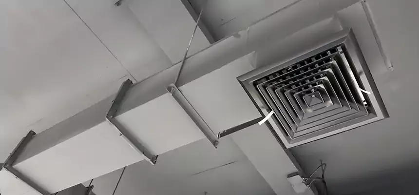 Our Rodent Droppings In Vents Services in Schofield Barracks, HI