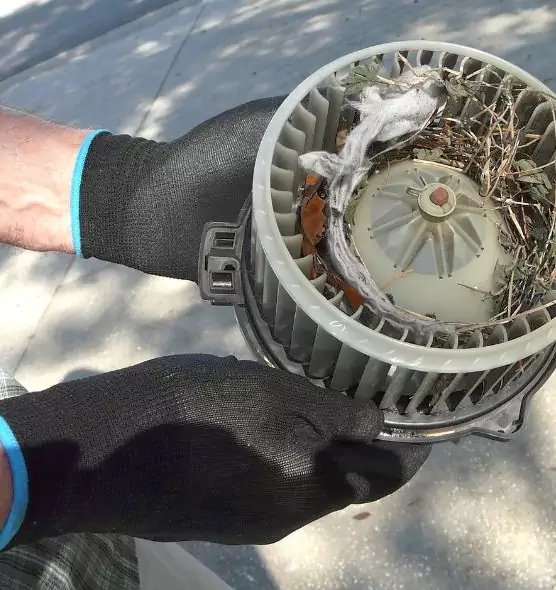 About Air Duct Mice Removal in Schofield Barracks, HI