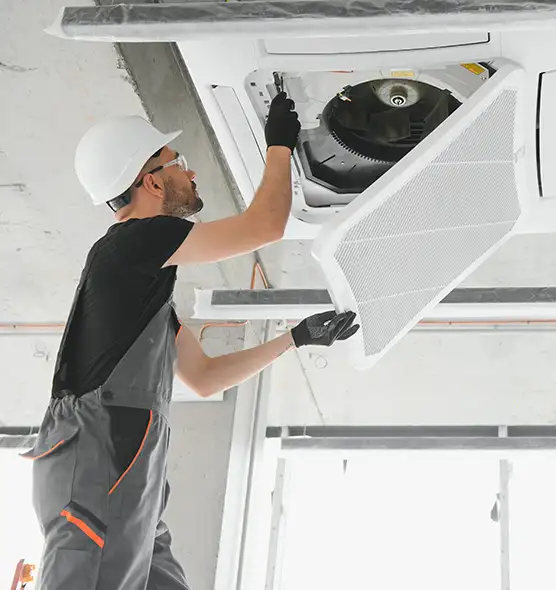 About Air Duct Rodent Removal in Schofield Barracks, HI