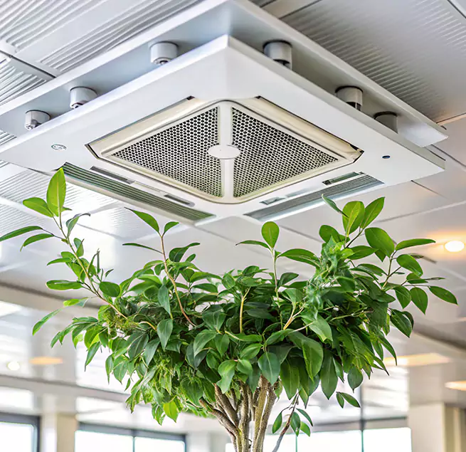 Why Homeowners & Businesses Trust Us in Schofield Barracks, HI