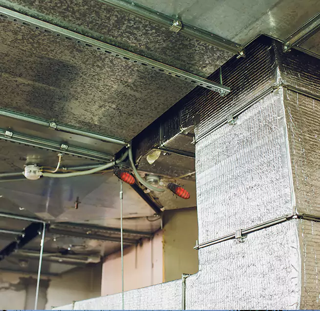 Why Homeowners & Businesses Trust Us Schofield Barracks, HI?