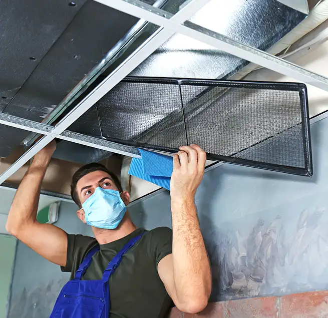 Why Homeowners & Businesses Trust Us in Schofield Barracks, HI?